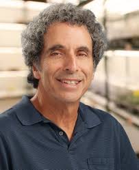 Collaborations and Advisory Board