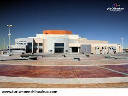 Pin En Tips Chihuahua