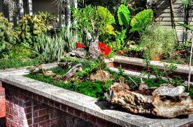 Japanese Garden Leu Gardens Orlando Fl Mapio Net