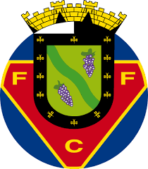 8.248 curtidas · 397 falando sobre isso. Fc Felgueiras Wikipedia