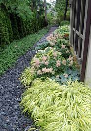 Pin By Tracy Huntsman On Side Yard Shade Garden Plants Shade Garden Outdoor Gardens
