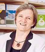 Entwicklung, Folgen, Risiken und Perspektiven Guy P. Brasseur Daniela Jacob  Susanne Schuck-Zöller Hrsg.