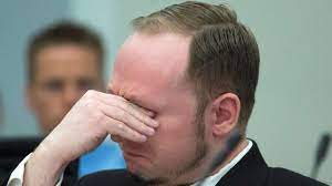The fact that he did what he did, and that other. Emotionaler Auftakt Im Prozess Gegen Breivik Politik