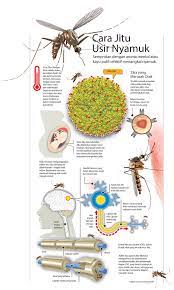 Ketahui informasi lengkapnya mulai dari gejala, penyebab, cara mengobati, dan lainnya! Poster Langkah Langkah Mengatasi Pembiakan Nyamuk Aedes Pentingnya Gerakan 3m Untuk Cegah Demam Berdarah Halaman All Kompas Com Poster Merupakan Media Promosi 2 Dimensi Atau Berupa Gambar Dan Tulisan Luminare Mara