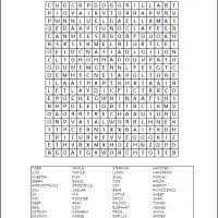 Check spelling or type a new query. Animal Word Search