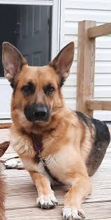 Blizzard Displacement Fundraiser for Cedar Bluffs Family