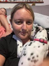 Newborns! Watch the whelp with me. It's going to be a looong night. 3 girls  born so far 4hrs apart 😅. #dalmatiansofcornwall