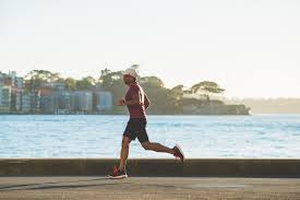 We did not find results for: Best 100 Run Pictures Download Free Images On Unsplash