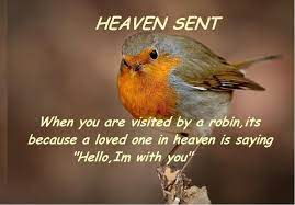 A Loved Ones Message Robin Readbreast 2 Fridge Magnet Robin Cute Birds First Love