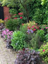 A Shady Border Rustic Style Garden By Anne Macfie Garden Design Rustic Garden Shrubs Rustic Garden Design Small Gardens