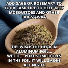 Maybe you would like to learn more about one of these? Image May Contain Text That Says Add Sage Or Rosemary To Your Campfire To Help Keep Mosquitoes And Other Bugs Away Keeping Mosquitos Away Bug Repellent Herbs