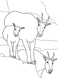 We did not find results for: 31 Best Mountain Goat Coloring Pages Ideas Mountain Goat Coloring Pages Coloring Pictures