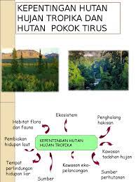 Di semenanjung malaysia, terdapat lebih daripada. Kepentingan Hutan Hujan Tropika Dan Hutan Pokok Tirus