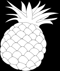 Kauaʻi sugarloaf has a creamy white flesh. Pineapple Outline Food Fruit Health Hawaii Sweet Pineapple Black And White Clipart Png Transparent Png Large Size Png Image Pikpng