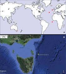It lies about 150 miles (240 km) south of the state of victoria, from which it is separated by the relatively shallow bass strait. The Deep Sea Pennatulacean Genus Porcupinella With The Description Of A New Species From Tasmania Anthozoa Octocorallia Chunellidae