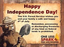 Image result for independence day responsibility