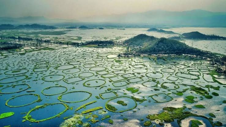 Loktak Lake Manipur Latest News, Updates in Hindi | लोकतक झील, मणिपुर के समाचार और अपडेट - AajTak