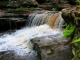 The kankakee river state park is a great place for a variety of outdoor activities and enjoyment. Matthiessen State Park An Illinois State Park Located Near La Salle Ottawa And Peru
