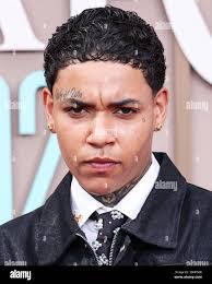 Peacock photo hi-res stock photography and images