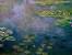 Monet Iphone Wallpaper