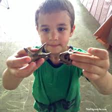 Outdoor Dinosaur Birthday Party