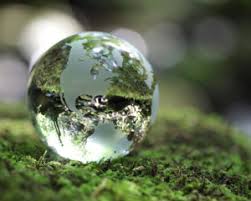 The Eu Recovery Fund Building Back Better In A Post Covid 19 World Environment Land Resources