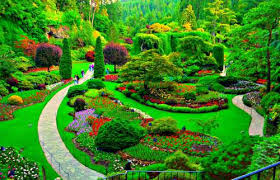 Please contact us if you want to publish a flower wallpaper on our site. 13 Of The Most Beautifully Designed Flower Gardens In The World