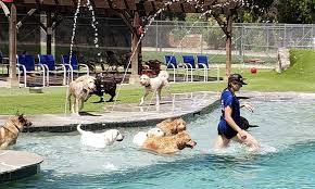 Boarding & grooming for your pet.peace of mind for you.over 20 years of experience within southern california!proud pcsa. Country Kennels