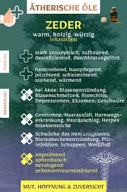Das Aroma Von Sternanis Als Atherisches Ol Ist Suss Warm Wurzig Und Luftig Es Kann Unterstutzen Bei Akne Blasenentzu In 2020 Aromatherapie Ekzem Therapie