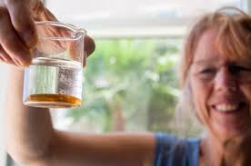 Aggregation and Degradation of Dispersants and Oil by Microbial Exopolymers