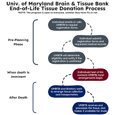 Image result for Tissue Donation