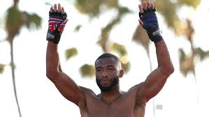 Salahdine Parnasse Debuts During Main Event at UFC Paris
