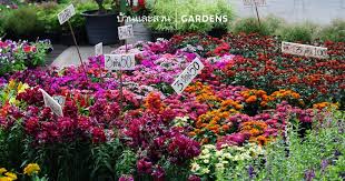 แบบร านกาแฟ ไอเด ยแต งคาเฟ ไม และชน ดของไม ท ควรร ก อนเล อกใช เป นพระเอกของร าน สวนขนาดเล ก การจ ดสวนแนวโมเด ร น การออกแบบภ ม ท ศน