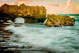 We did not find results for: Early Morning Light At Blowing Rocks Preserve Jupiter Fl Ron Mayhew