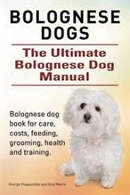 Find bolognese puppies for sale. Bolognese Dogs Ultimate Bolognese Dog Manual Bolognese Dog Book For Care Costs Feeding Groomin Book By George Hoppendale Paperback Www Chapters Indigo Ca