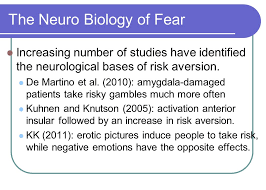 Such investors like to invest in government. Time Varying Risk Aversion Luigi Guiso Einaudi Institute For Economics Finance Eief Paola Sapienza Northwestern University Luigi Zingales University Ppt Download