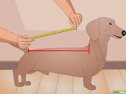 Make A Dog Coat Kopek