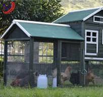 [Hot Item] OEM Logo de su gran tamaño fácil Limpiar Gallinero de madera con  bandeja de metal