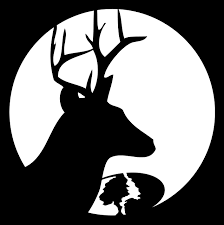 A deer's interest in eating a certain flower depends on the number of deer competing for food in its area, weather conditions such as drought, and the availability of plants that deer prefer. Make A Mossy Oak Pumpkin Mossy Oak