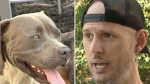 Woman Adopts Dog She Fostered Years Earlier After He's Found as a Stray: 'I  Knew I Had to Get Him' (Exclusive)