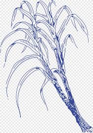 Drawing Line Art Sugar Cane Leaf Branch Png Pngegg Download clker's sugar cane clip art and related images now. art sugar cane leaf branch png
