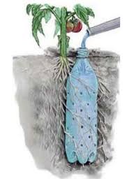 Use Plastic Bottles With Holes To Create A Worry Free Self Watering System Bury A Plastic Bottle With Small Holes To W Plants Lawn And Garden Garden Projects