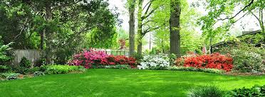 Contact us today to create the perfect plan to improve your lawn! Organic Lawn Fertilization And Weed Control Service Br Green