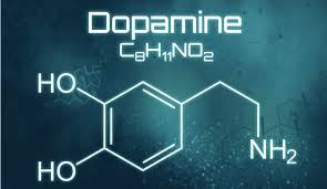 Image result for Dopamine