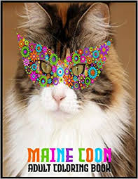 Indeed, coloring books are selling well in the adult market. Maine Coon Coloring Book Maine Coon 42 Art For Adult Relaxation Night Dark 9798603707211 Amazon Com Books