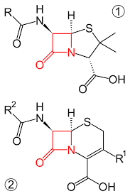 The use of carbapenems rather than app could reduce mortality and, by simplifying treatment decisions, reduce the time before. Beta Lattamici Wikipedia