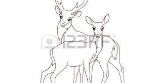 cerf dessin livre de coloriage couple daims isole illustration camion