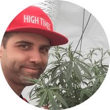 High Scores: The Cannabis Cult Connoisseur Pack