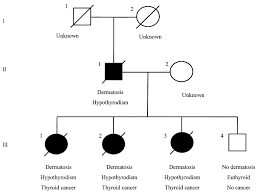 There are usually four parathyroid glands in most mammals, two on either side of the throat, closely associated with the thyroid glands (hence the name, parathyroid). Pedigree Of The Dog Family With Thyroid Carcinoma Square Denotes Male Download Scientific Diagram