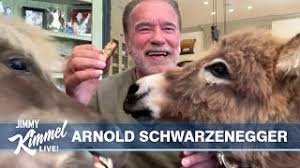 The camel is a polygastric animal, but not a true ruminant. Arnold Schwarzenegger On Pandemic Uniting Democrats Republicans And His Pets Whiskey Lulu Youtube